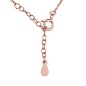 Colier argint placat cu aur roz cu inima si pietre DiAmanti Z1767NRG-DIA